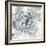 Cereus Aeonium-Tania Bello-Framed Giclee Print