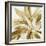 Cereus Aloe - Bronze-Tania Bello-Framed Giclee Print