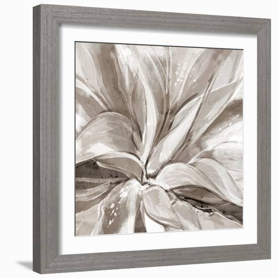 Cereus Aloe - Fawn-Tania Bello-Framed Giclee Print