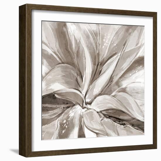 Cereus Aloe - Fawn-Tania Bello-Framed Giclee Print