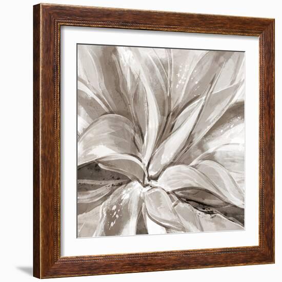 Cereus Aloe - Fawn-Tania Bello-Framed Giclee Print