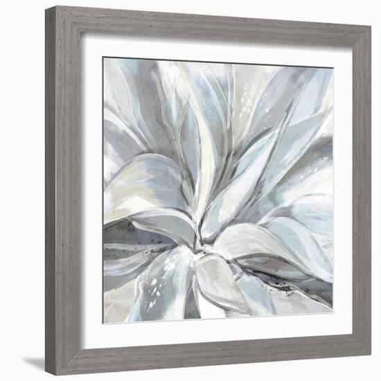 Cereus Aloe-Tania Bello-Framed Giclee Print