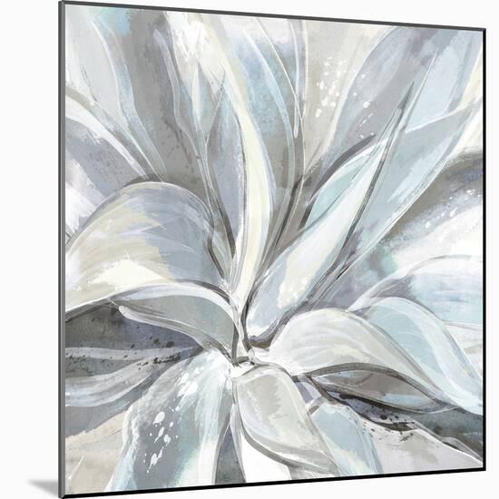 Cereus Aloe-Tania Bello-Mounted Giclee Print