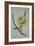 Cereus Cactus, A Botanical Illustration-Georg Dionysius Ehret-Framed Giclee Print