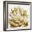 Cereus Echeveria - Bronze-Tania Bello-Framed Giclee Print