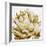 Cereus Echeveria - Bronze-Tania Bello-Framed Giclee Print