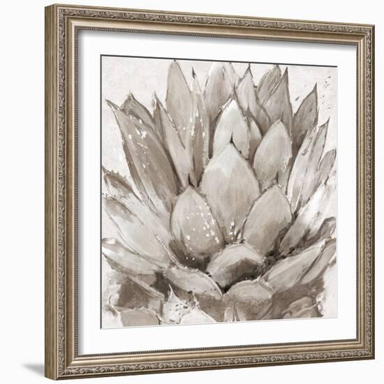 Cereus Echeveria - Fawn-Tania Bello-Framed Giclee Print