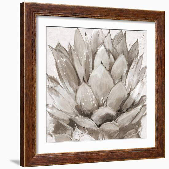 Cereus Echeveria - Fawn-Tania Bello-Framed Giclee Print