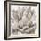 Cereus Echeveria - Fawn-Tania Bello-Framed Giclee Print