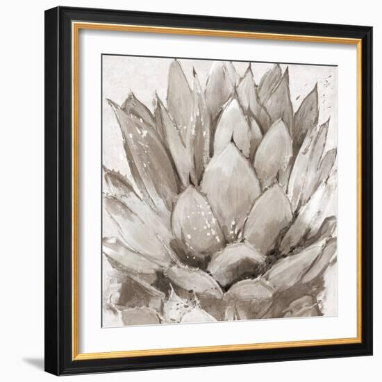 Cereus Echeveria - Fawn-Tania Bello-Framed Giclee Print