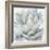 Cereus Echeveria-Tania Bello-Framed Giclee Print