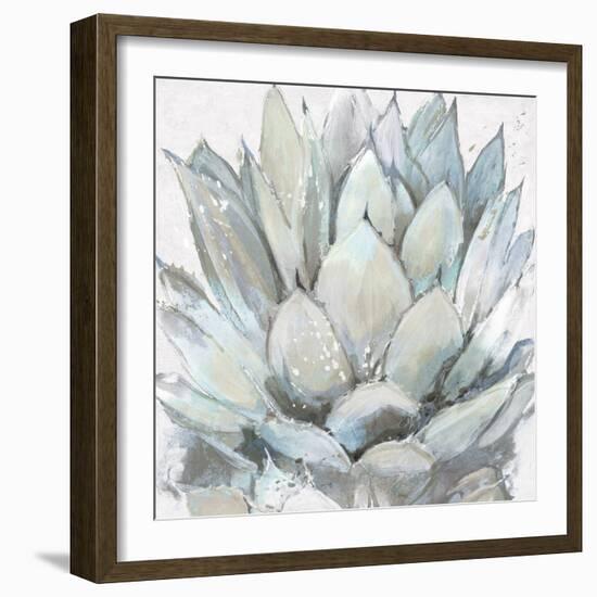 Cereus Echeveria-Tania Bello-Framed Giclee Print