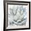 Cereus Echeveria-Tania Bello-Framed Giclee Print