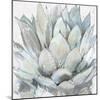 Cereus Echeveria-Tania Bello-Mounted Giclee Print