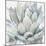 Cereus Echeveria-Tania Bello-Mounted Giclee Print