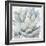 Cereus Echeveria-Tania Bello-Framed Giclee Print