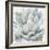 Cereus Echeveria-Tania Bello-Framed Giclee Print