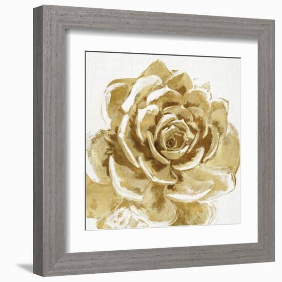 Cereus Sempervivum - Bronze-Tania Bello-Framed Art Print