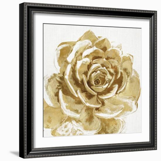 Cereus Sempervivum - Bronze-Tania Bello-Framed Giclee Print