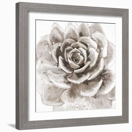 Cereus Sempervivum - Fawn-Tania Bello-Framed Giclee Print