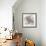 Cereus Sempervivum - Fawn-Tania Bello-Framed Giclee Print displayed on a wall
