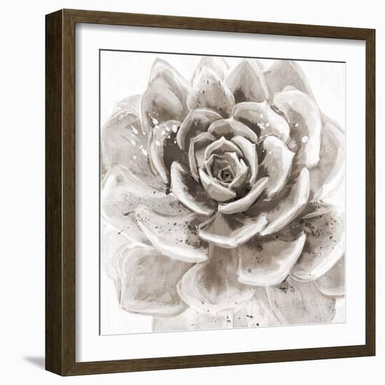 Cereus Sempervivum - Fawn-Tania Bello-Framed Giclee Print