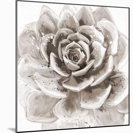 Cereus Sempervivum - Fawn-Tania Bello-Mounted Giclee Print