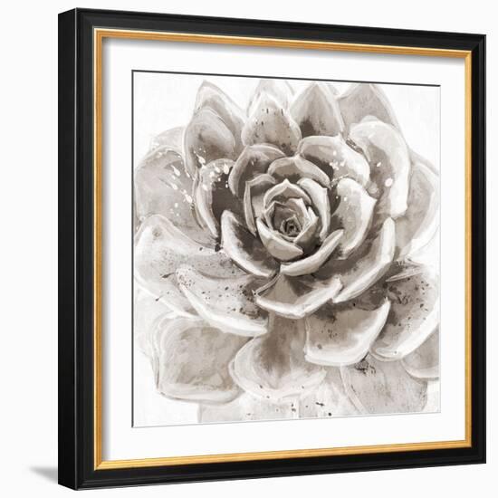 Cereus Sempervivum - Fawn-Tania Bello-Framed Giclee Print