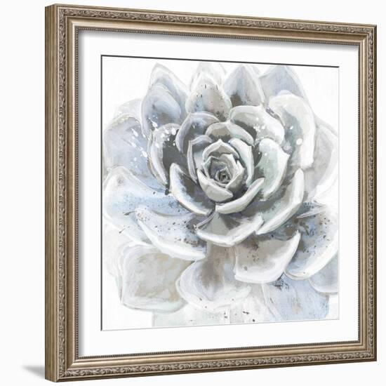 Cereus Sempervivum-Tania Bello-Framed Giclee Print