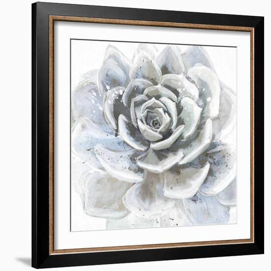 Cereus Sempervivum-Tania Bello-Framed Giclee Print