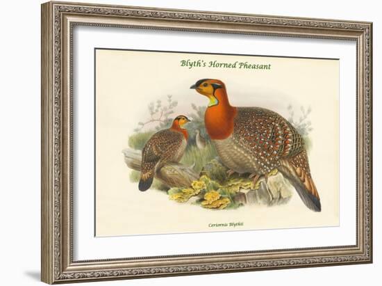 Ceriornis Blythii - Blyth's Horned Pheasant-John Gould-Framed Art Print