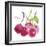 Cerises-Sandra Jacobs-Framed Giclee Print