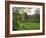 Cerne Abbas, Dorset, England, United Kingdom-J Lightfoot-Framed Photographic Print