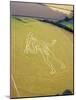 Cerne Abbas Giant, Dorset, England, UK-Adam Woolfitt-Mounted Photographic Print