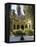 Cerro Santa Lucia and the Ornate Terraza Neptuno Fountain, Santiago, Chile-Gavin Hellier-Framed Premier Image Canvas