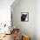 Certosina - Chartreux Cat, Portrait-Adriano Bacchella-Framed Premier Image Canvas displayed on a wall