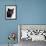 Certosina - Chartreux Cat, Portrait-Adriano Bacchella-Framed Photographic Print displayed on a wall