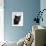 Certosina - Chartreux Cat, Portrait-Adriano Bacchella-Framed Photographic Print displayed on a wall