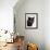 Certosina - Chartreux Cat, Portrait-Adriano Bacchella-Framed Photographic Print displayed on a wall