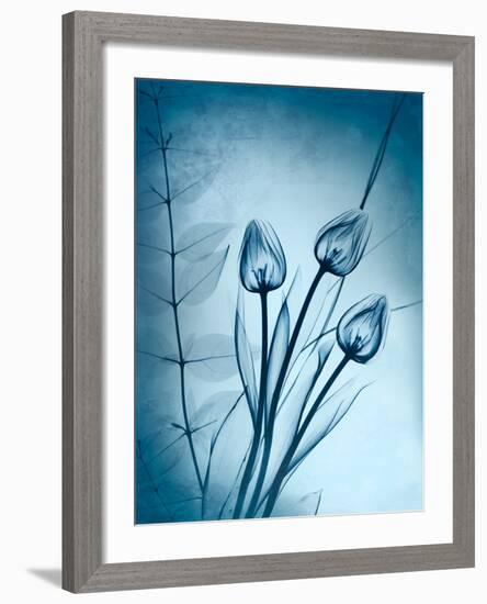 Cerulean Dawn-Albert Koetsier-Framed Photo