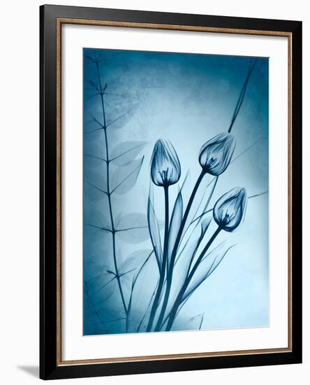 Cerulean Dawn-Albert Koetsier-Framed Photo