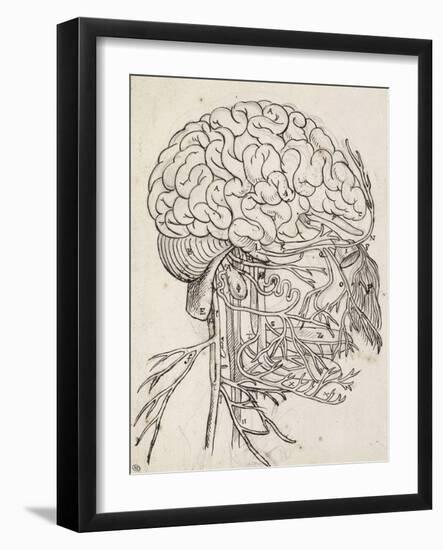 Cerveau, cervelet et nerfs crâniens de l'homme vus de côté-Charles Le Brun-Framed Giclee Print