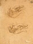 Drawing of Hands-Cesare da Sesto-Art Print