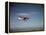 Cessna Skyhawk Flying-null-Framed Premier Image Canvas