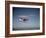 Cessna Skyhawk Flying-null-Framed Photographic Print