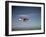 Cessna Skyhawk Flying-null-Framed Photographic Print