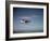 Cessna Skyhawk Flying-null-Framed Photographic Print