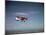 Cessna Skyhawk Flying-null-Mounted Photographic Print