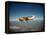 Cessna Superlobe Flying-null-Framed Premier Image Canvas