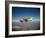 Cessna Superlobe Flying-null-Framed Premium Photographic Print